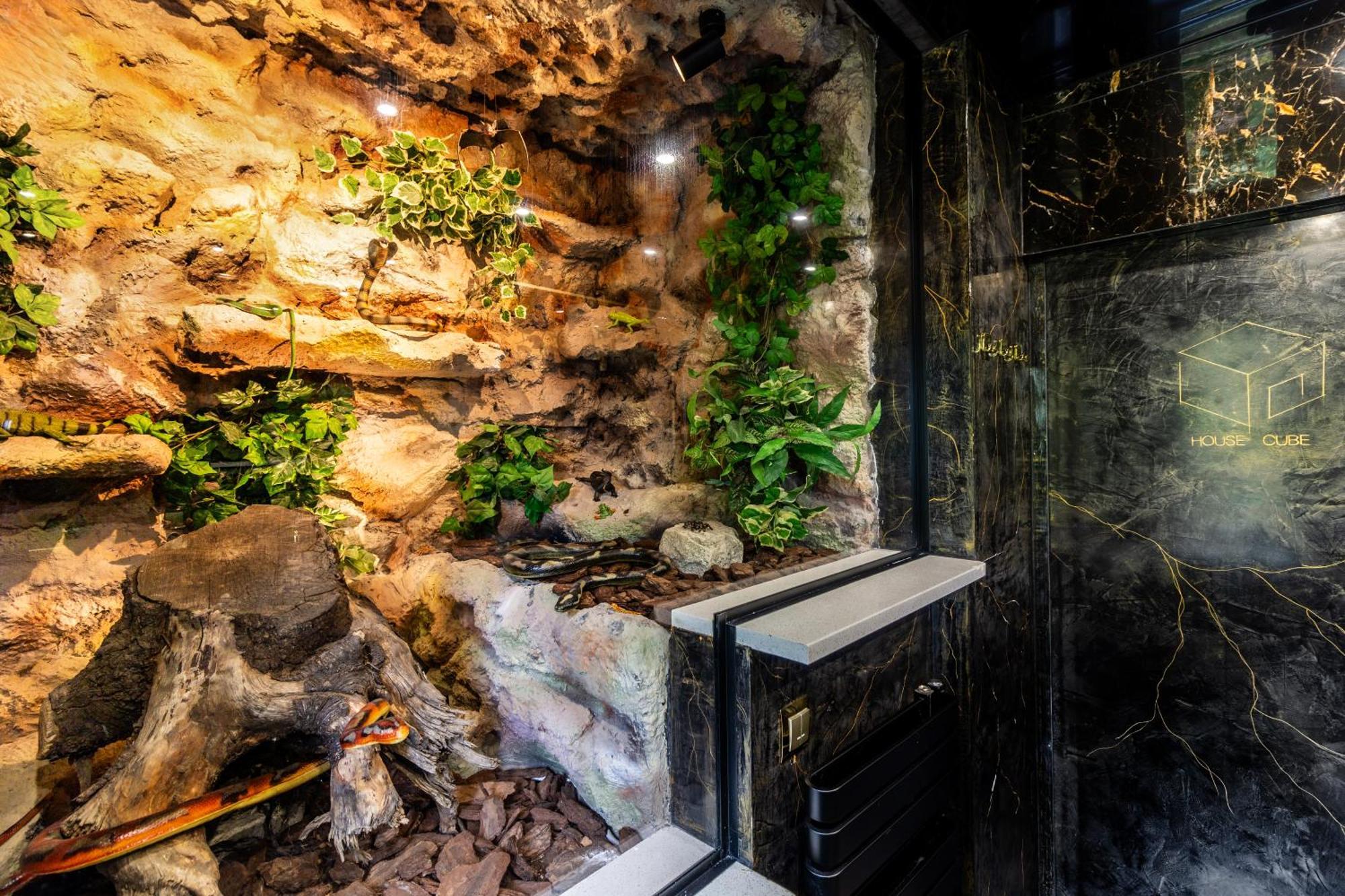 Housecube, Bar , Prywatne Kino, Bilard , Luxus Villa Wroclaw Bagian luar foto